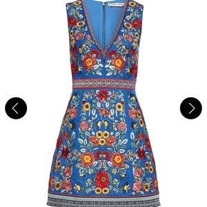 Alice and Olivia floral beaded dress